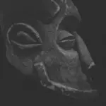 SHAFIQ HUSAYN (SA-RA CREATIVE PARTNERS) / シャフィーク・フセイン / SHAFIQ EN'A-FREE-KA