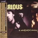 【中古】A Constipated Monkey / Kurious キュリアス  (帯無し) CONSTIPATED MONKEY/KURIOUS/キュリアス｜HIPHOP/R&B｜ディスク