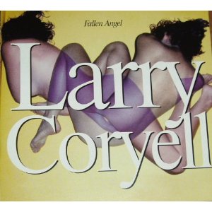 LARRY CORYELL / ラリー・コリエル / Fallen Angel 