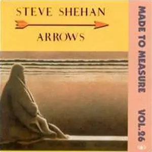 STEVE SHEHAN / スティーヴ・シェハン / ARROWS
