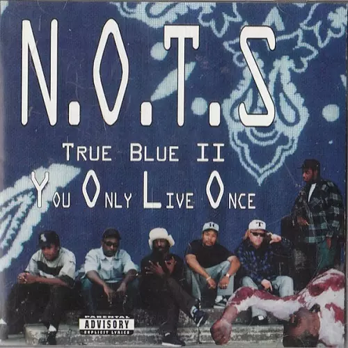 邦楽 true blue II TRUE BLUE II-YOU ONLY LIVE ONC/N.O.T.S.｜HIPHOP/R&B｜ディスク