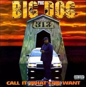 CALL IT WHAT'CHA WANT/BIG DOG & 313｜HIPHOP/R&B｜ディスクユニオン