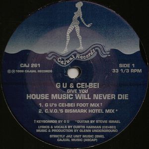 GU & CEI BEI / HOUSE MUSIC WILL NEVER DIE