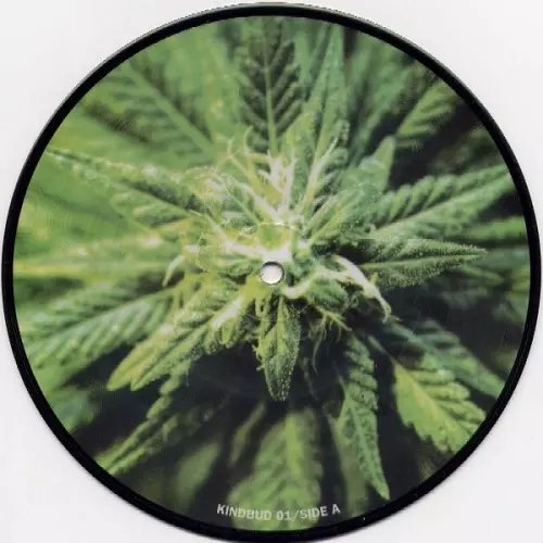 BRUTAL TRUTH : RUPTURE / SPLIT (7")