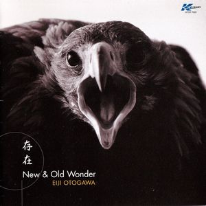 EIJI OTOGAWA / 音川英二 / New & Old Wonder / 存在~ニュー&オールドワンダー