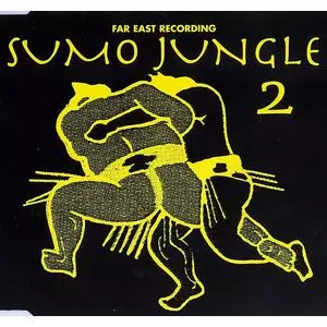 SOICHI TERADA / 寺田創一 / SUMO JUNGLE 2