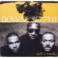 洋楽 down south players 2LP hip hop DOWN SOUTH商品一覧｜HIPHOP / 日本語RAP｜ディスクユニオン