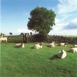 KLF / CHILL OUT