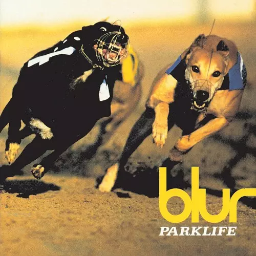 BLUR / ブラー商品一覧｜ディスクユニオン・オンラインショップ