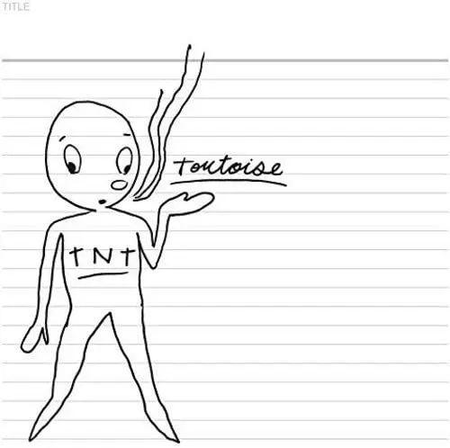 TORTOISE / トータス / TNT