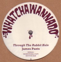 JAMES PANTS / WHATCHAWANNADO VOL.1