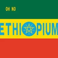 Oh No – Dr. No's Ethiopium 2LP レコード My0zOTY3LmpwZWc.jpeg