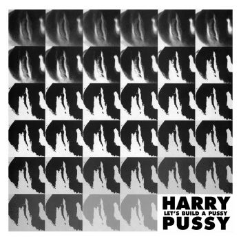 HARRY PUSSY / LET'S BUILD A PUSSY