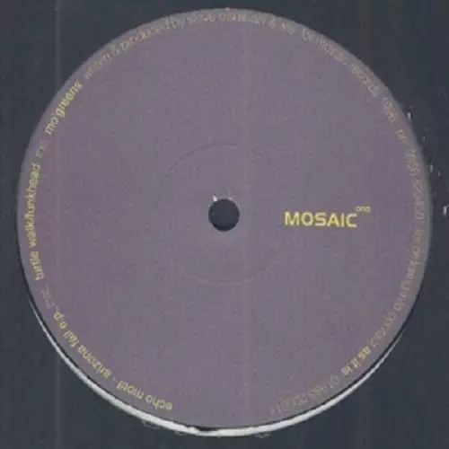 ECHO MOTIF / ARIZONA FALL EP