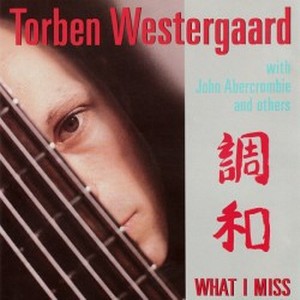 TORBEN WESTERGAARD / トーベン・ヴェスタゴー / What I Miss