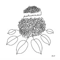 BASSO  / AUTUMN AIR