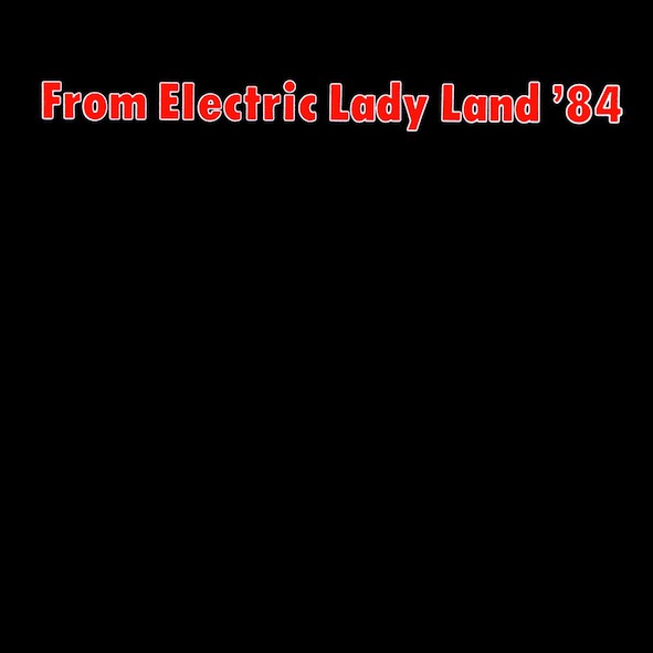 V.A.  / オムニバス / FROM ELECTRIC LADY LAND '84