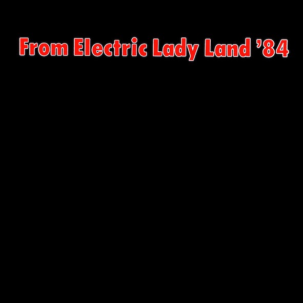 FROM ELECTRIC LADY LAND '84/V.A. /オムニバス｜HARDROCK 