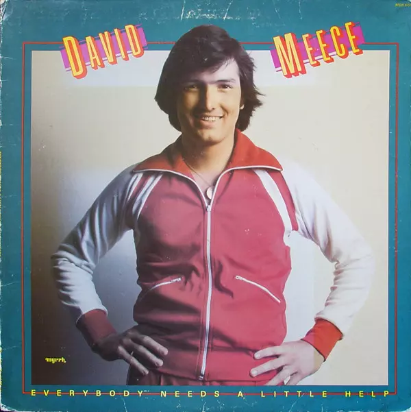 DAVID MEECE / EVERYBODY NEEDS A LITTLE HELP