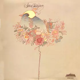 STEVE FELDMAN / STEVE FELDMAN