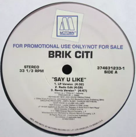 BRIK CITI Say U Like レコード SAY U LIKE/BRIK CITI/ブリック・シティ｜HIPHOP/R&B｜ディスク