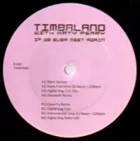 TIMBALAND / ティンバランド / IF WE EVER MEET AGAIN REMIXES
