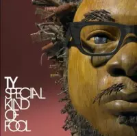 TY / SPECIAL KIND OF FOOL