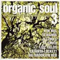 V.A.(ORGANIC SOUL) / V.A.(オーガニック・ソウル) / VOL.3 ORGANIC SOUL