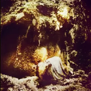 WOLVES IN THE THRONE ROOM / ウルブズ・イン・ザ・スローン・ルーム / CELESTIAL LINEAGE