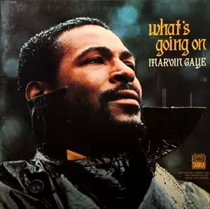 MARVIN GAYE / マーヴィン・ゲイ / WHAT'S GOING ON