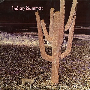 INDIAN SUMMER (UK) / インディアン・サマー / INDIAN SUMMER - 180g LIMITED VINYL