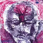 PARONI PAAKKUNAINEN / PLASTIC MAAILMA - 180g LIMITED VINYL/REMASTER