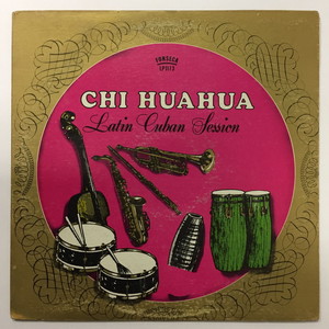 CHIHUAHUA / チワワ / LATIN CUBAN SESSION
