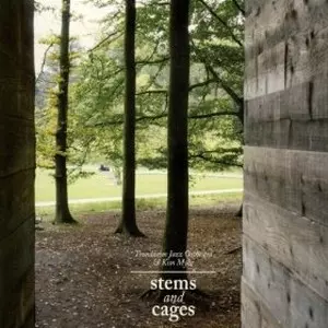 TRONDHEIM JAZZ ORCHESTRA / トロンハイム・ジャズ・オーケストラ / Stems And Cages 