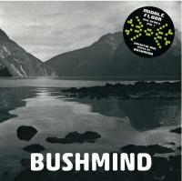 BUSHMIND / 2013DTW Mix