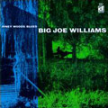 BIG JOE WILLIAMS / ビッグ・ジョー・ウィリアムス / PINEY WOODS BLUES / パイニー・ウッズ・ブルース