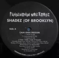 SHADEZ OF BROOKLYN商品一覧｜ディスクユニオン・オンライン