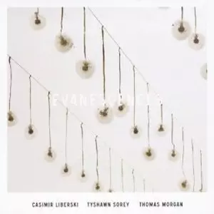 CASIMIR LIBERSKI / Evabescences