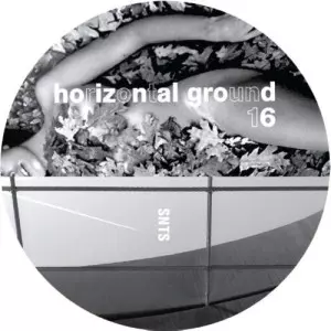 SNTS / HG016
