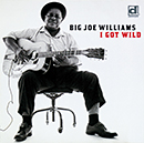 BIG JOE WILLIAMS / ビッグ・ジョー・ウィリアムス / I GOT WILD / アイ・ガッド・ワイルド
