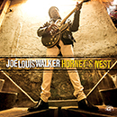 JOE LOUIS WALKER / ジョー・ルイス・ウォーカー / HONET'S NEST / ホーネッツ・ネスト