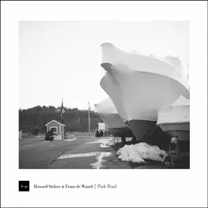 HOWARD STELZER / Pink Pearl