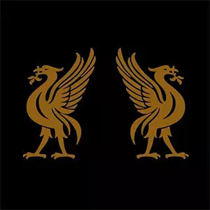 JOEY CAPE:JON SNODGRASS / LIVERBIRDS