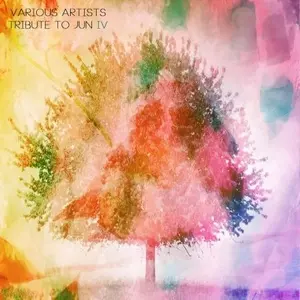 V.A. (TRIBUTE TO JUN/NUJABES) / V.A. (トリビュート・トゥ・ジュン) / TRIBUTE TO JUN IV (BLACK VINYL)