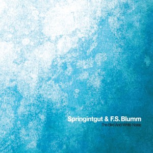 SPRINGINTGUT & F.S.BLUMM / BIRD AND WHITE NOISE