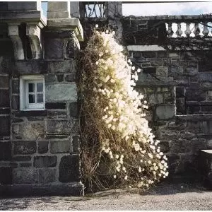 大野円雅 / 夢の中の冬、窓の外の夢