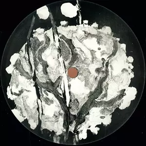 TERRENCE PARKER & SIMON HINTER / SHIFT 004