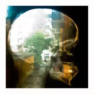 PLAID / プラッド / REACHY PRINTS (LP)