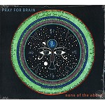 PRAY FOR BRAIN / NON OF THE ABOVE