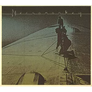NECROMONKEY / ネクロモンキー / A GLIMPSE OF POSSIBLE ENDINGS